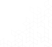 section-shape-falkorexis