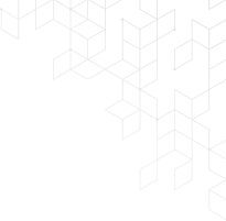 section-shape-falkorexis